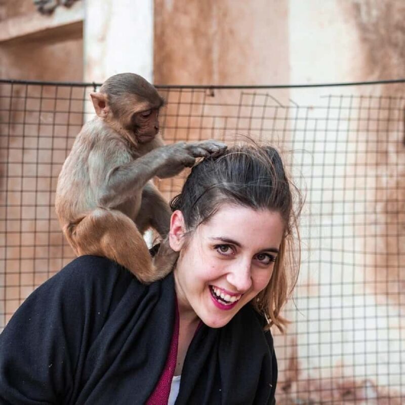 Jaipur: Private Full Day Sightseeing Tour By Car or Tuk-Tuk - Good To Know