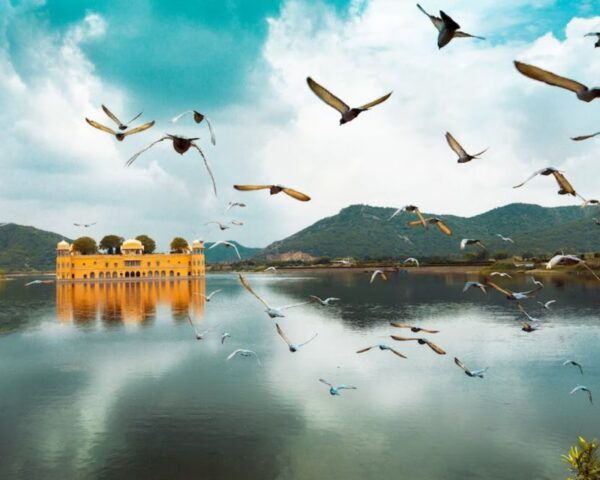 Jaipur: Private Full-Day Sightseeing Tour by Tuk-Tuk - Immersive Experience and Local Interactions