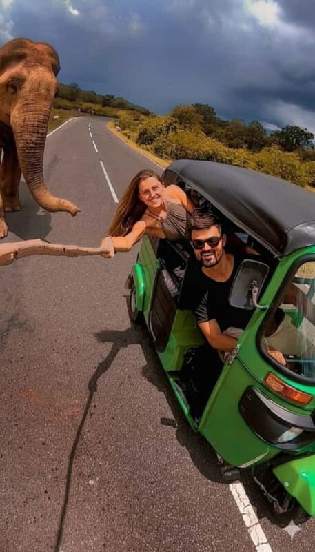 Jaipur: Private Full-Day Top Attraction Tour by Tuk-Tuk - A Deep Dive into the Jaipur Tuk-Tuk Tour