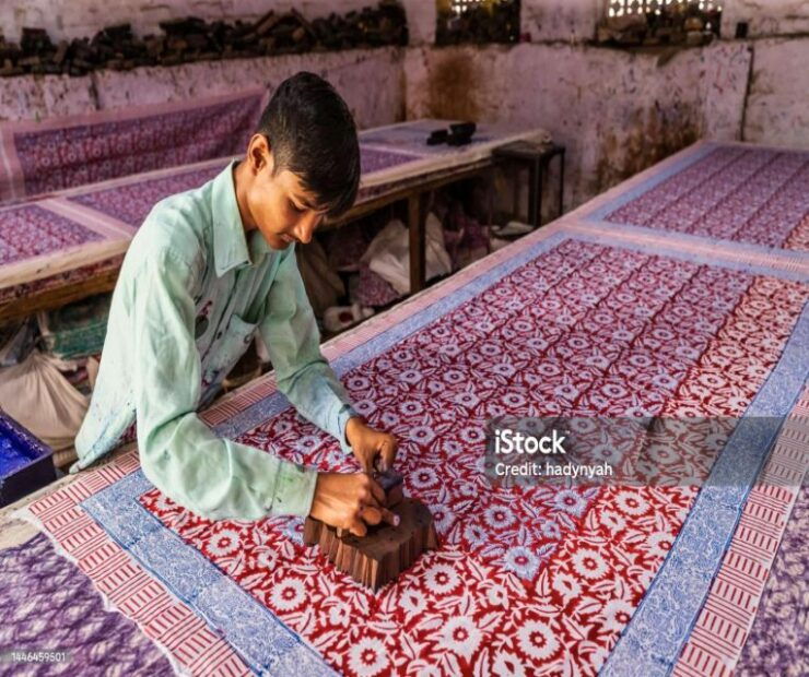 Jaipur: Private Guided City Tour With Hotel Pickup - Tour Details