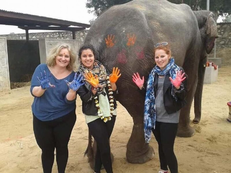 Jaipur: Private Jaipur Trip with Elephant Village Attraction - An In-Depth Look at the Jaipur Private Tour