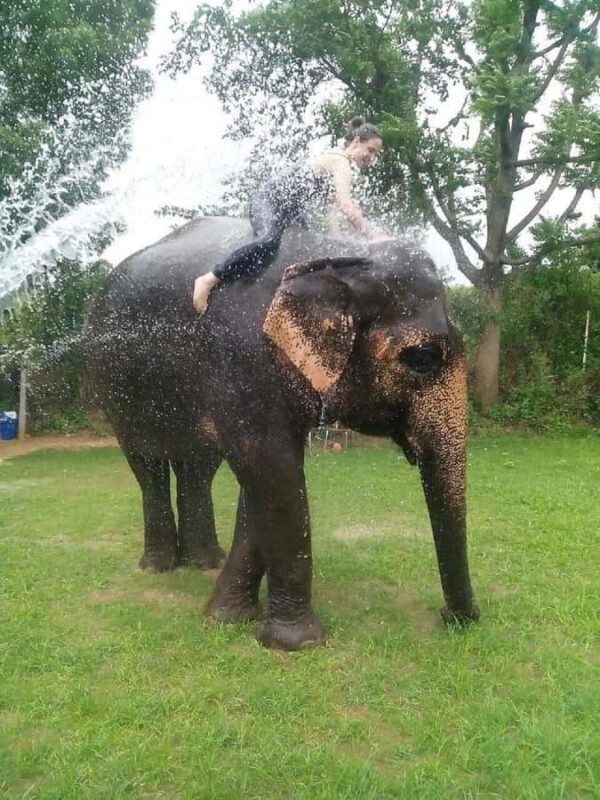 Jaipur: Private Jaipur Trip with Elephant Village Attraction - Final Verdict: Who Is This Tour Best For?