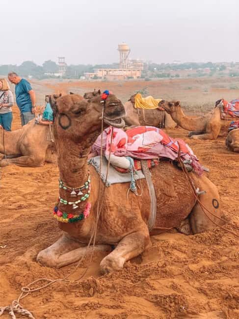 Jaipur: Private Same-Day Trip to Ajmer & Pushkar - Authentic Insights from Reviewers