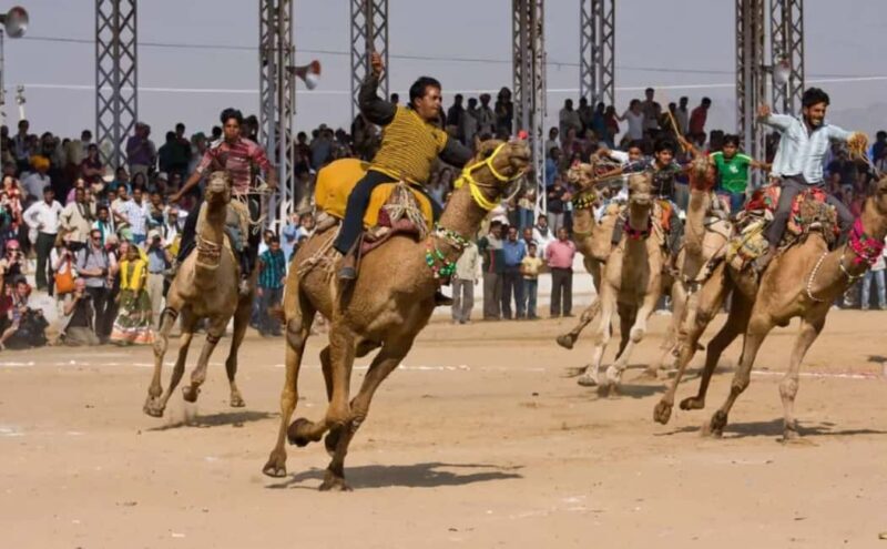 Jaipur: Private Same-Day Trip to Ajmer & Pushkar - In-Depth Review