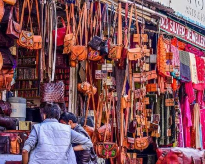 Jaipur: Private Shopping City Tour by Tuk Tuk - Description
