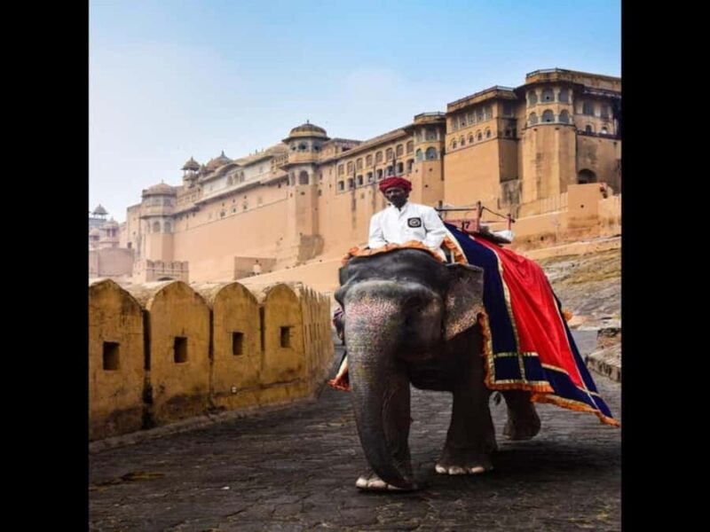 Jaipur : Private Sightseeing Tour with Guide & Hidden Gems - Final Thoughts: Is it Worth It?