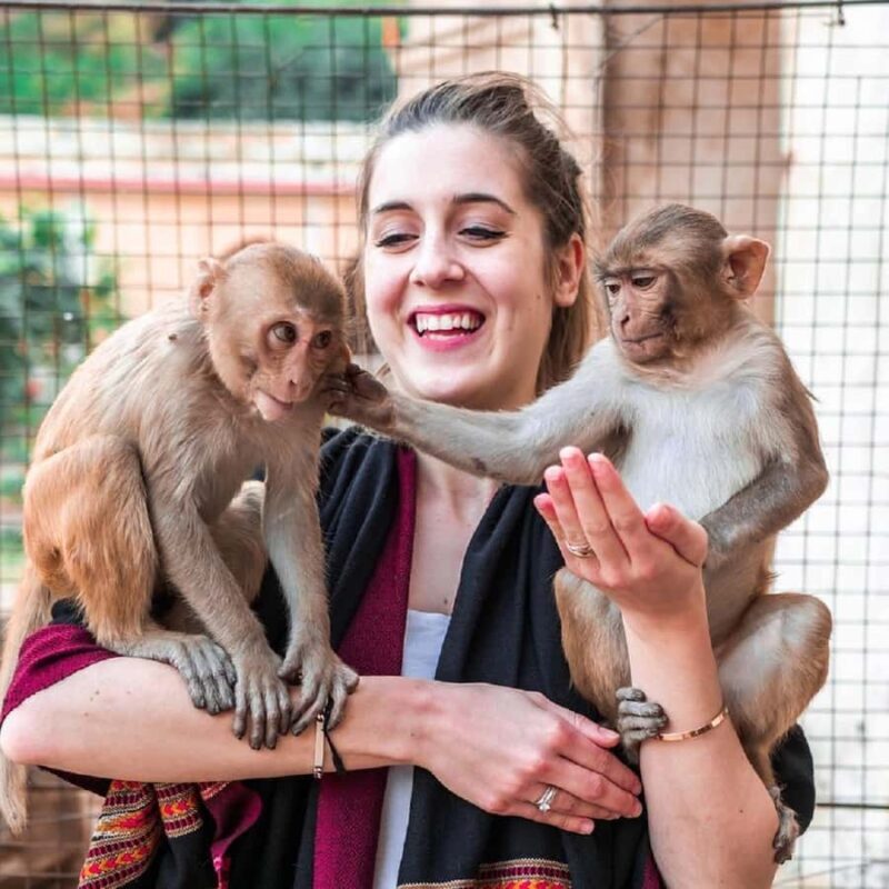 Jaipur: Private Top Attractions Tour by AC Car with Guide - Who Should Consider This Tour?