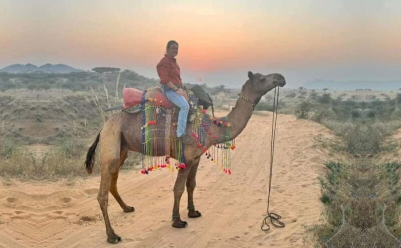 Jaipur: Pushkar Day Trip with Optional Camel Safari - Introduction: A Day in Pushkar - The Perfect Rajasthan Escape