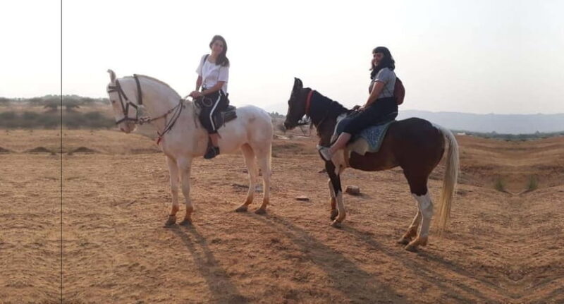 Jaipur: Pushkar Day Trip with Optional Camel Safari - The Sum Up: Who Should Consider This Tour?