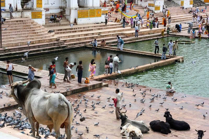 Jaipur Pushkar Full-Day Private Pilgrimage Tour - Pushkar is the point, not the drive