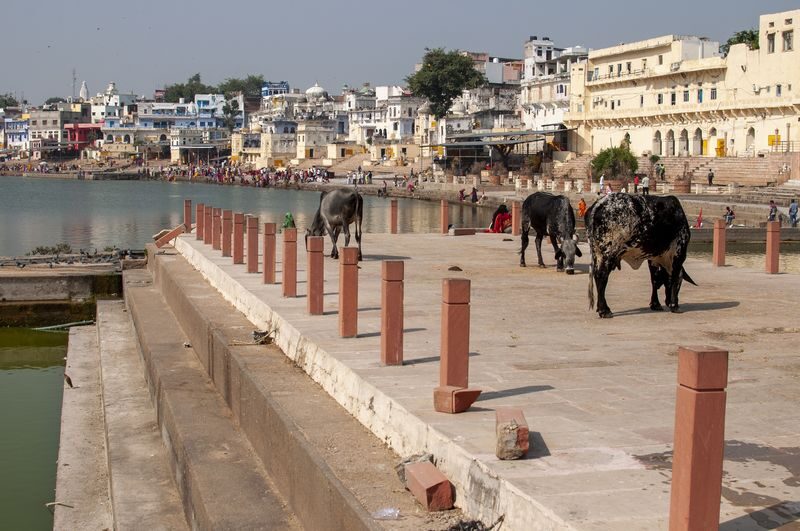 Jaipur Pushkar Full-Day Private Pilgrimage Tour - What to expect around Pushkar Lake