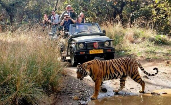 Jaipur: Ranthambore Private Guided Tour With Cab - Duration of the Activity