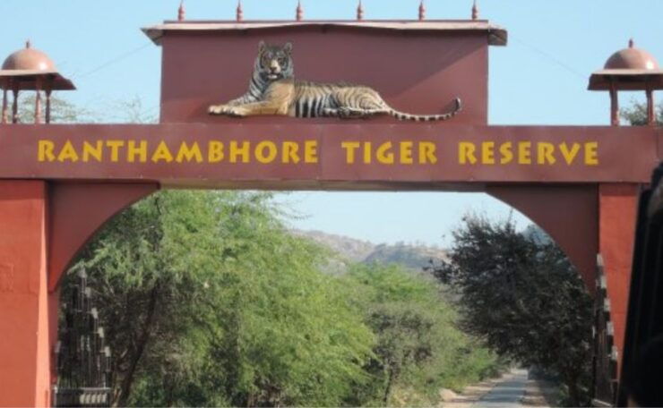 Jaipur: Ranthambore Private Guided Tour With Cab - Activity Details