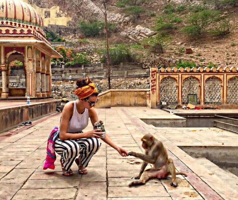 Jaipur: Royal Gems Full-Day Private Tour with Guide & AC Car - The Sum Up