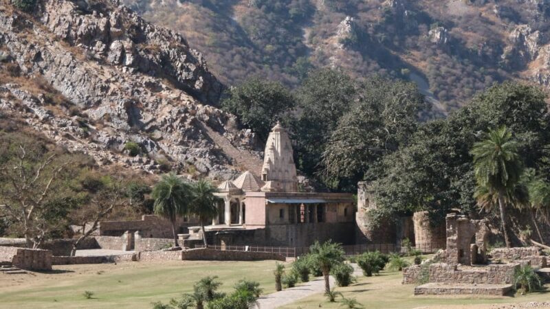 Jaipur: Same-Day Bhangarh Fort & Chand Baori Stepwell Tour - Who Would Love This Tour?