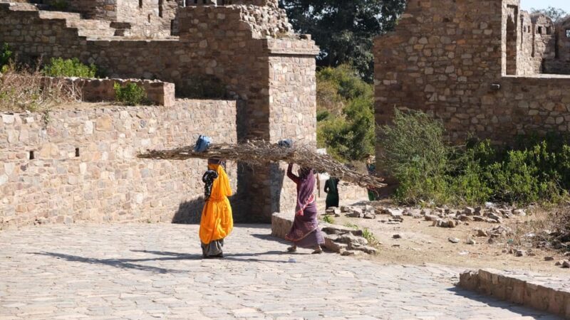 Jaipur: Same-Day Bhangarh Fort & Chand Baori Stepwell Tour - The Sum Up