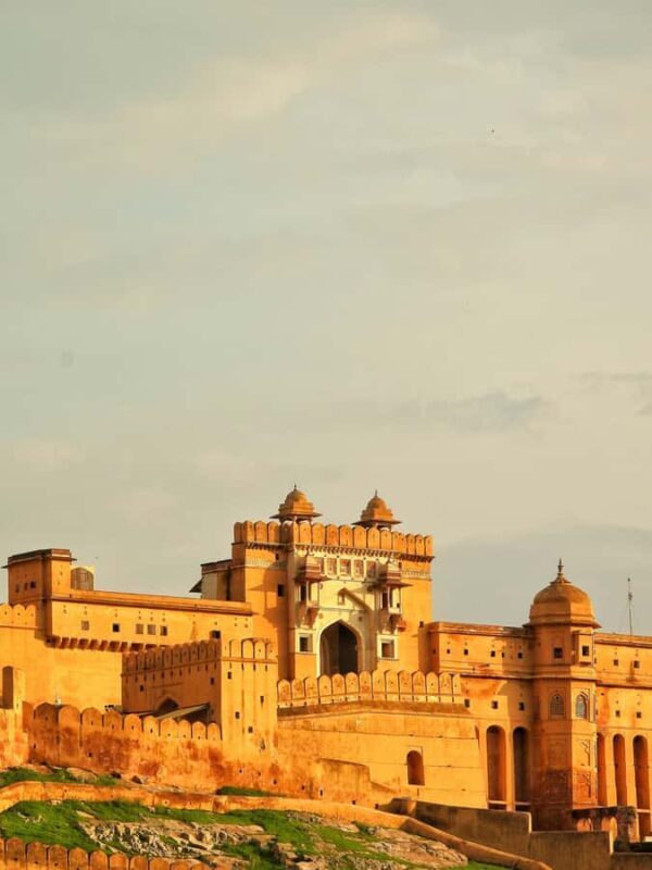 Jaipur: Sunrise Flower Market and City Tour with Guide - Who This Tour Is Best For