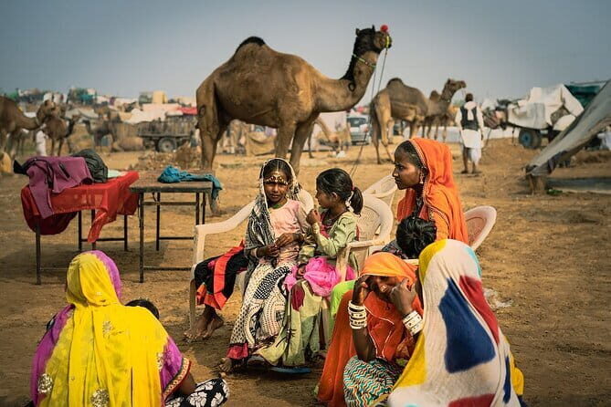 Jaipur to Pushkar Day Trip with Lakeside Lunch - Good To Know