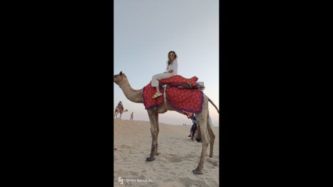 Jaipur to Puskar Day Trip - Languages and Accessibility