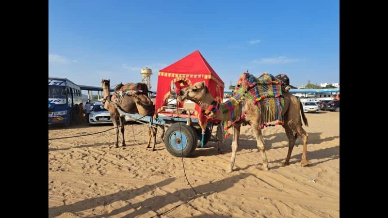 Jaipur to Puskar Same Day trip - Detailed Itinerary Breakdown