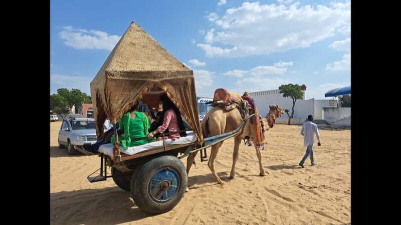 Jaipur to Puskar Same Day trip - Cost & Value