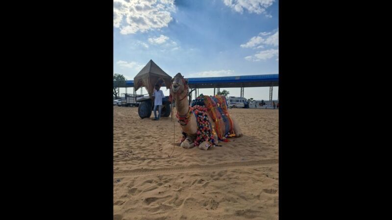 Jaipur to Puskar Same Day trip - Final Thoughts