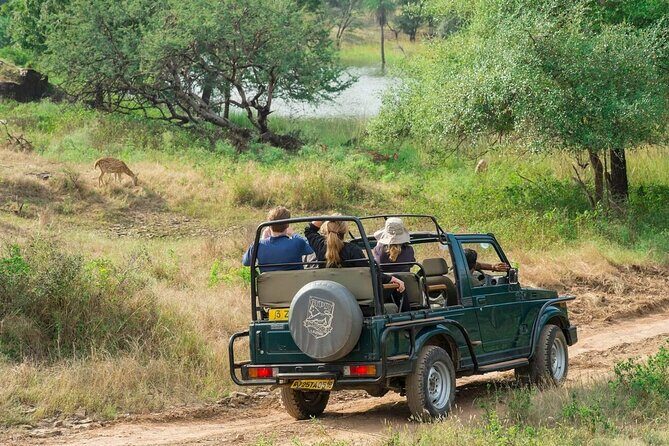 Jaipur to Ranthambore Day Trip with Safari and Transfers - FAQ