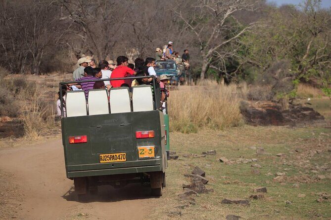 Jaipur to Ranthambore Day Trip with Safari and Transfers - The Return Journey: Relaxing and Reflective