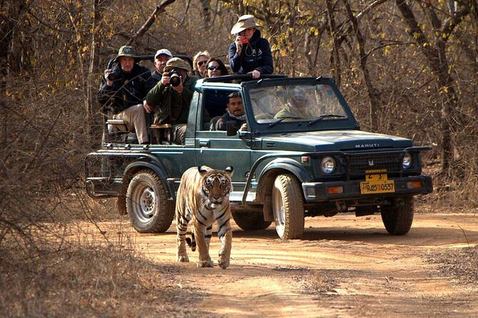Jaipur to Ranthambore National Park Private One Day Trip - Additional Information
