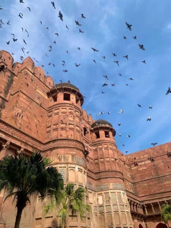 Jaipur: to Taj Mahal & Agra Fort Tour with 5-Star Lunch Trip - FAQs