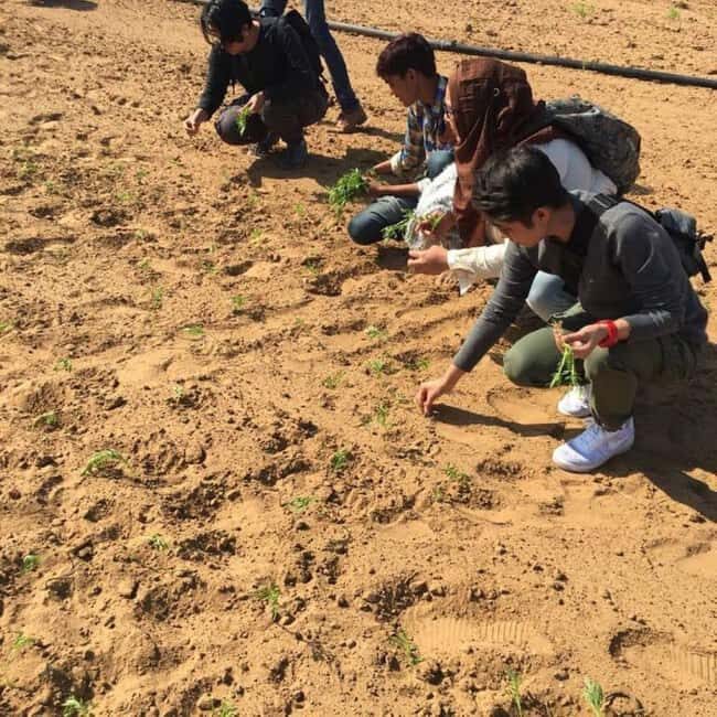 Jaipur: Village Jeep Safari in Open Jeeps - FAQ