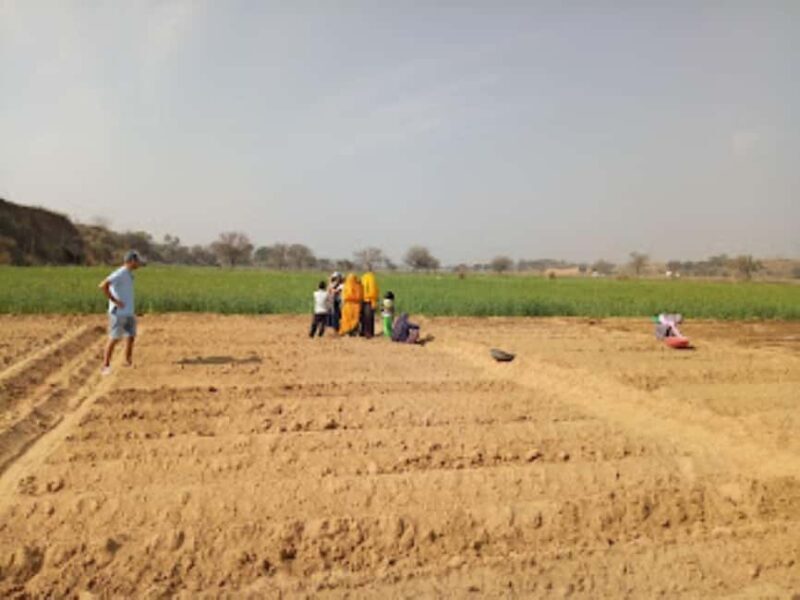 Jaipur: Village Jeep Safari in Open Jeeps - Final Thoughts