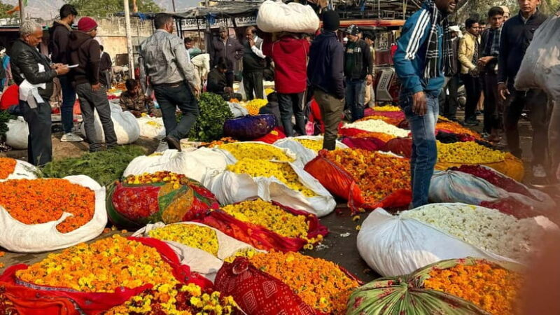 "Jaipur's Living Heritage: A Walk Through Time" - FAQ