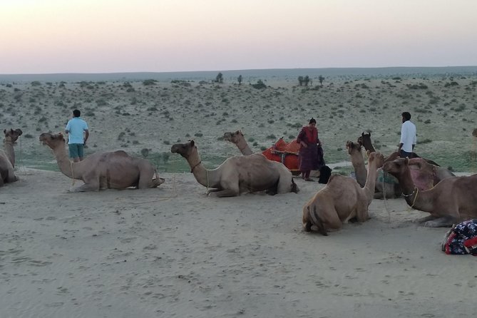 Jaisalmer 1-Night Private Camel Safari With 2-Night Option - Inclusions and Services