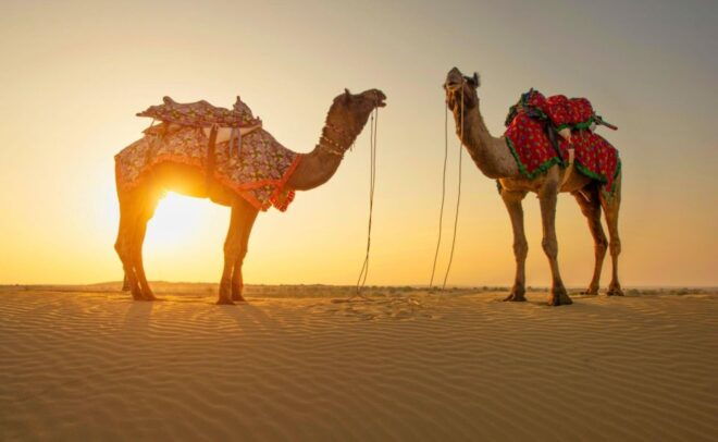 Jaisalmer: 2 Days Adventure in the Thar Desert - Activities and Attractions