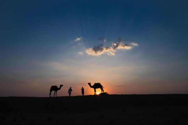 Jaisalmer: 2 Days Adventure in the Thar Desert - Guide and Transportation