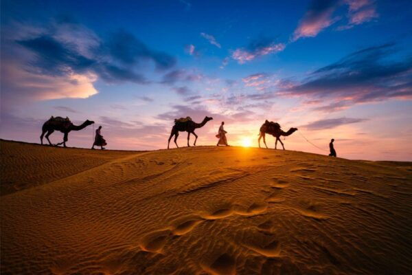 Jaisalmer: 2 Days Adventure in the Thar Desert - Booking Details
