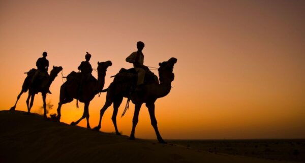 Jaisalmer: 2 Days Adventure in the Thar Desert - Frequently Asked Questions
