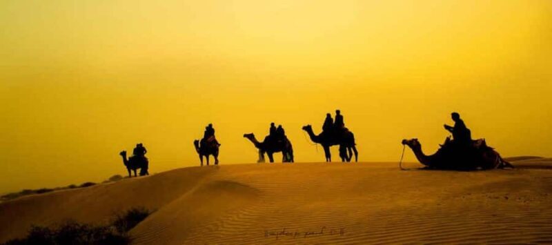 Jaisalmer a Day: Explore Jaisalmer Golden City of Rajasthan - The Sum Up  