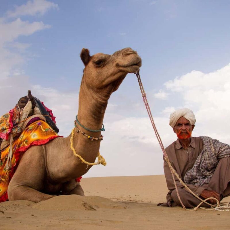 Jaisalmer: Camel Safari, Dinner, and Massage - Comparing with Similar Experiences