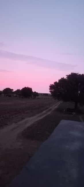 Jaisalmer: City Sightseeing with Experienced Guide - The Sum Up