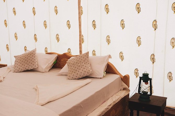 Jaisalmer Desert Camel Safari With Glamping (Feb ) - Activity Highlights