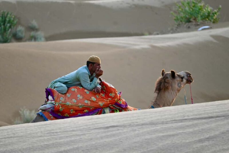 Jaisalmer: Desert Camp with Camel Ride and Cultural Show - Good To Know