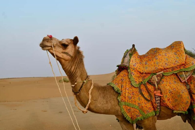 Jaisalmer: Desert Camp with Camel Ride and Cultural Show - Practical Tips for Making the Most of Your Trip