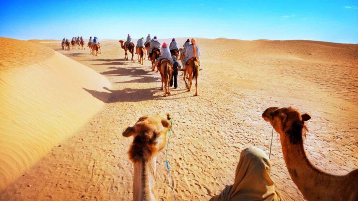 Jaisalmer: Desert Safari With Sunset and Dinner on Dunes - Tour Details