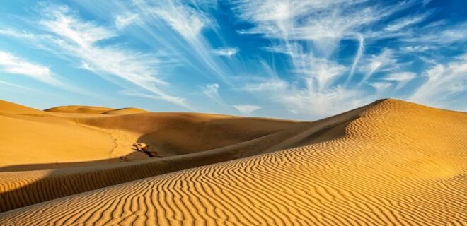 Jaisalmer: Desert Safari With Sunset and Dinner on Dunes - The Sum Up