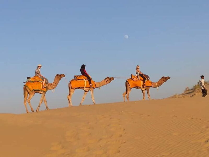 Jaisalmer: Half-Day Camel Tour with Dinner - Camel Safari: A Gentle Ride Into the Dunes