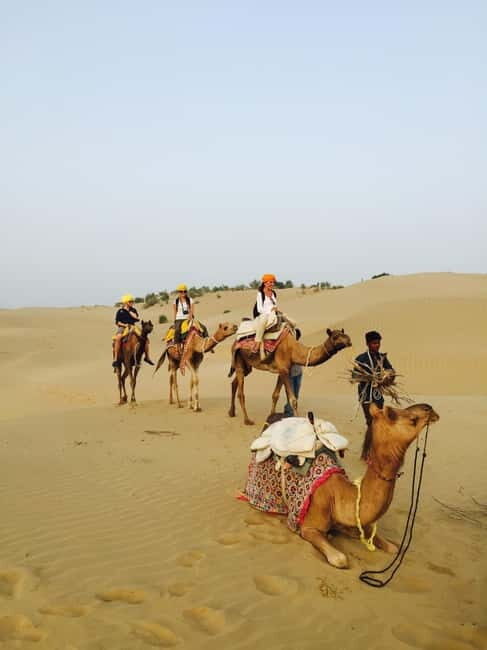 Jaisalmer: Half-Day Camel Tour with Dinner - Dinner in the Desert: Home-Cooked and Vegetarian
