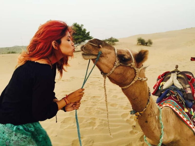 Jaisalmer: Half-Day Camel Tour with Dinner - FAQ