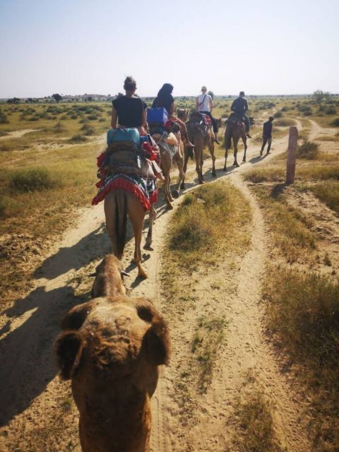 Jaisalmer Heritage Walking Tour With Local Guide - Tour Highlights